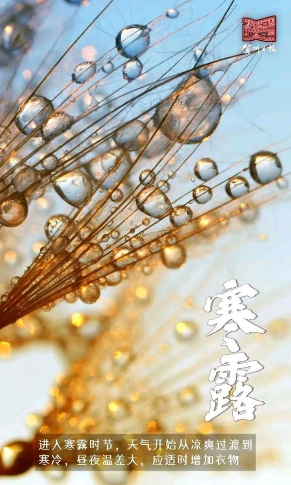弘华朗诵【寒露抒怀】作者/王胜利（图10）