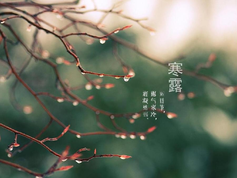 【经典推荐】张英波//寒露（图3）