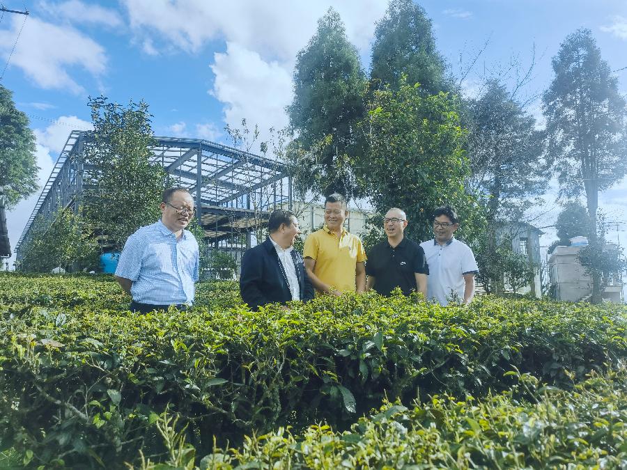 三标走进太阳转身的地方(图4)