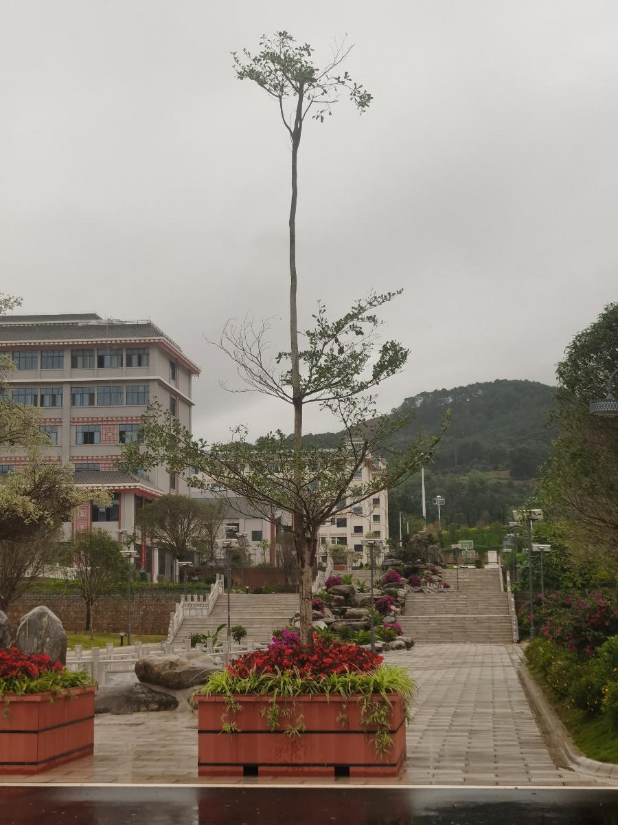 三标走进太阳转身的地方(图7)