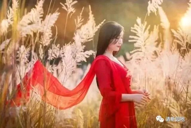 文/郭文敏（江西吉水） 居秋妙语（现代诗）（图5）