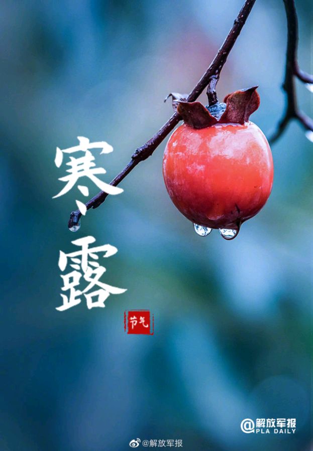 《九江文学社：北京头条》《寒露节气》专刊【总第1865期】（图4）