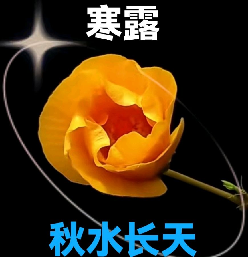 《九江文学社：北京头条》《寒露节气》专刊【总第1865期】（图10）