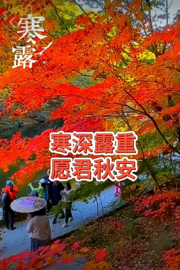 《九江文学社：北京头条》《寒露节气》专刊【总第1865期】（图11）