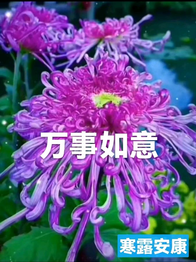 《九江文学社：北京头条》《寒露节气》专刊【总第1865期】（图13）