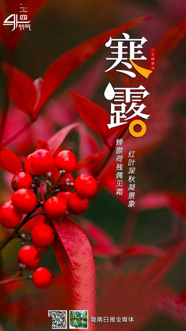 《九江文学社：北京头条》《寒露节气》专刊【总第1865期】（图17）