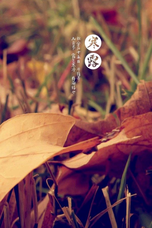 《九江文学社：北京头条》《寒露节气》专刊【总第1865期】（图26）