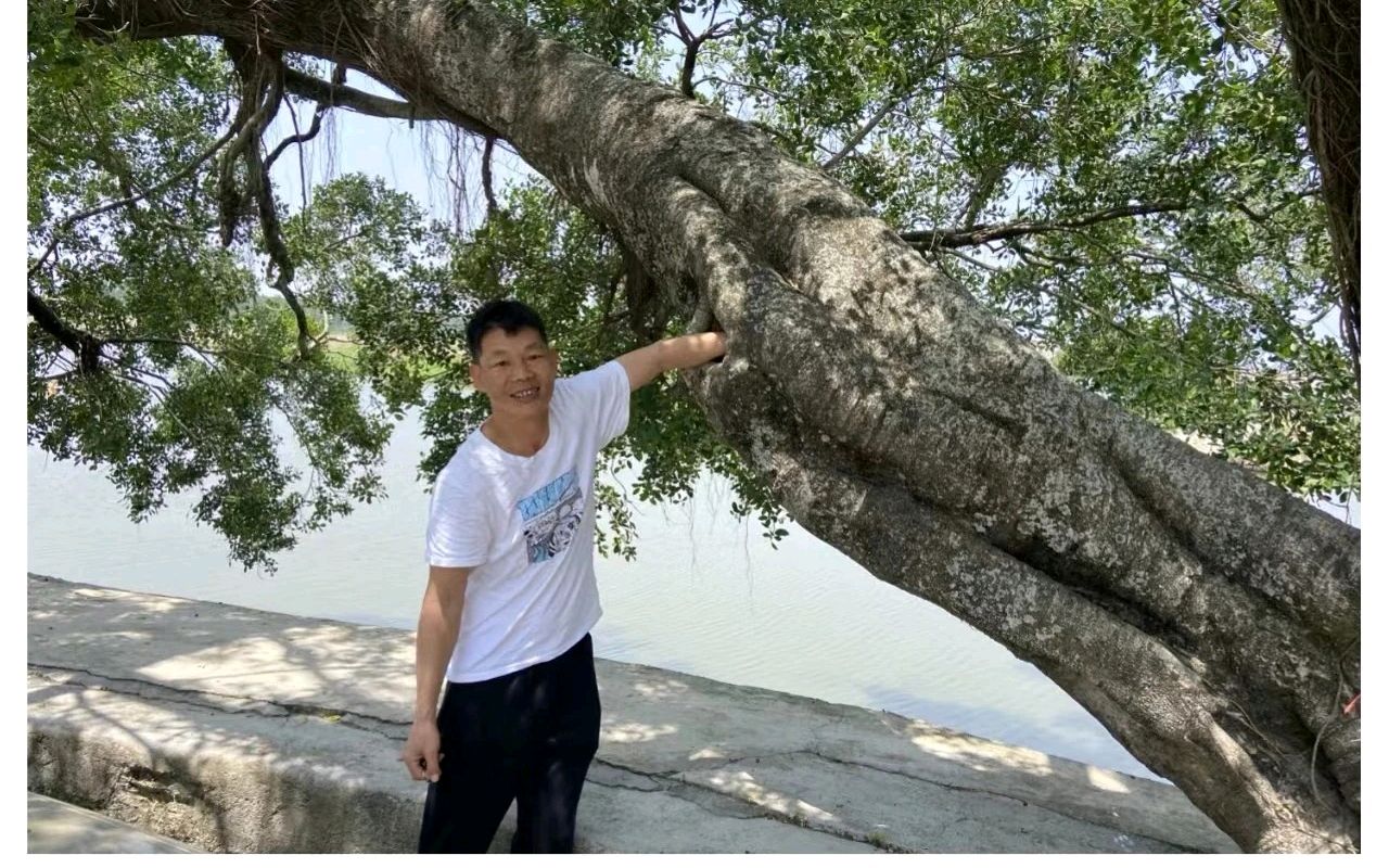 卓顺贵癸卯诗词集（图17）