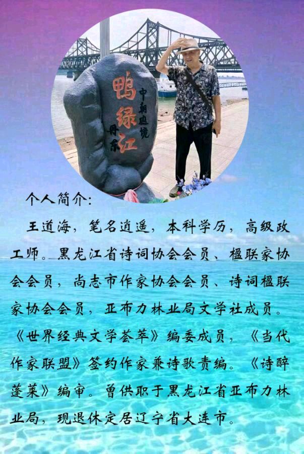 中华诗艺黑龙江分社微刊第225期（图17）