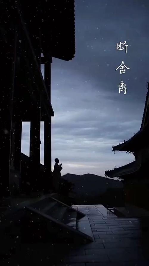 《断舍离》作者:博丹【主播:丹桂】【桃源国际诗歌集团】用声音传递温暖以诵读致敬人生♬（图5）