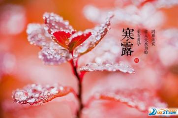 《寒露》作者:芦国柱【主播:燕子】【桃源国际诗歌集团】用声音传递温暖以诵读致敬人生♬（图6）