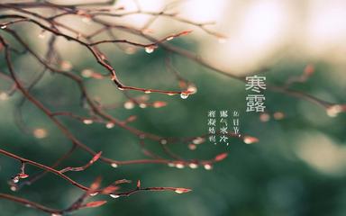 《今日寒露》作者:黑子【主播:刘树清】【桃源国际诗歌集团】用声音传递温暖以诵读致敬人生♬（图7）