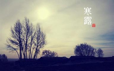 《今日寒露》作者:黑子【主播:刘树清】【桃源国际诗歌集团】用声音传递温暖以诵读致敬人生♬（图6）