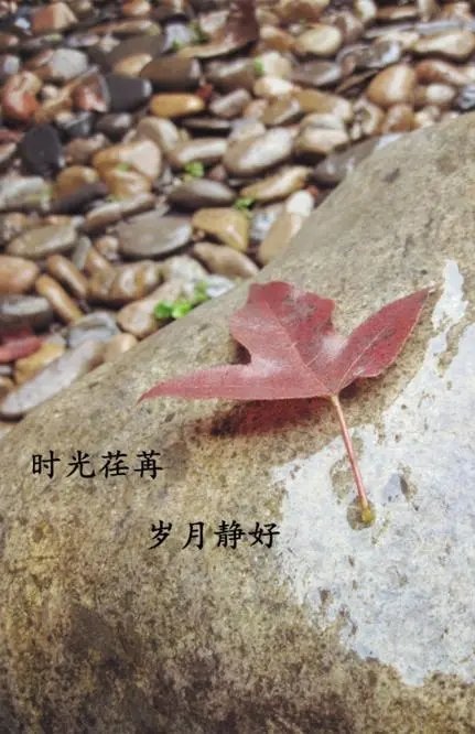七律-夕阳放歌～诗||杨景儒（图12）