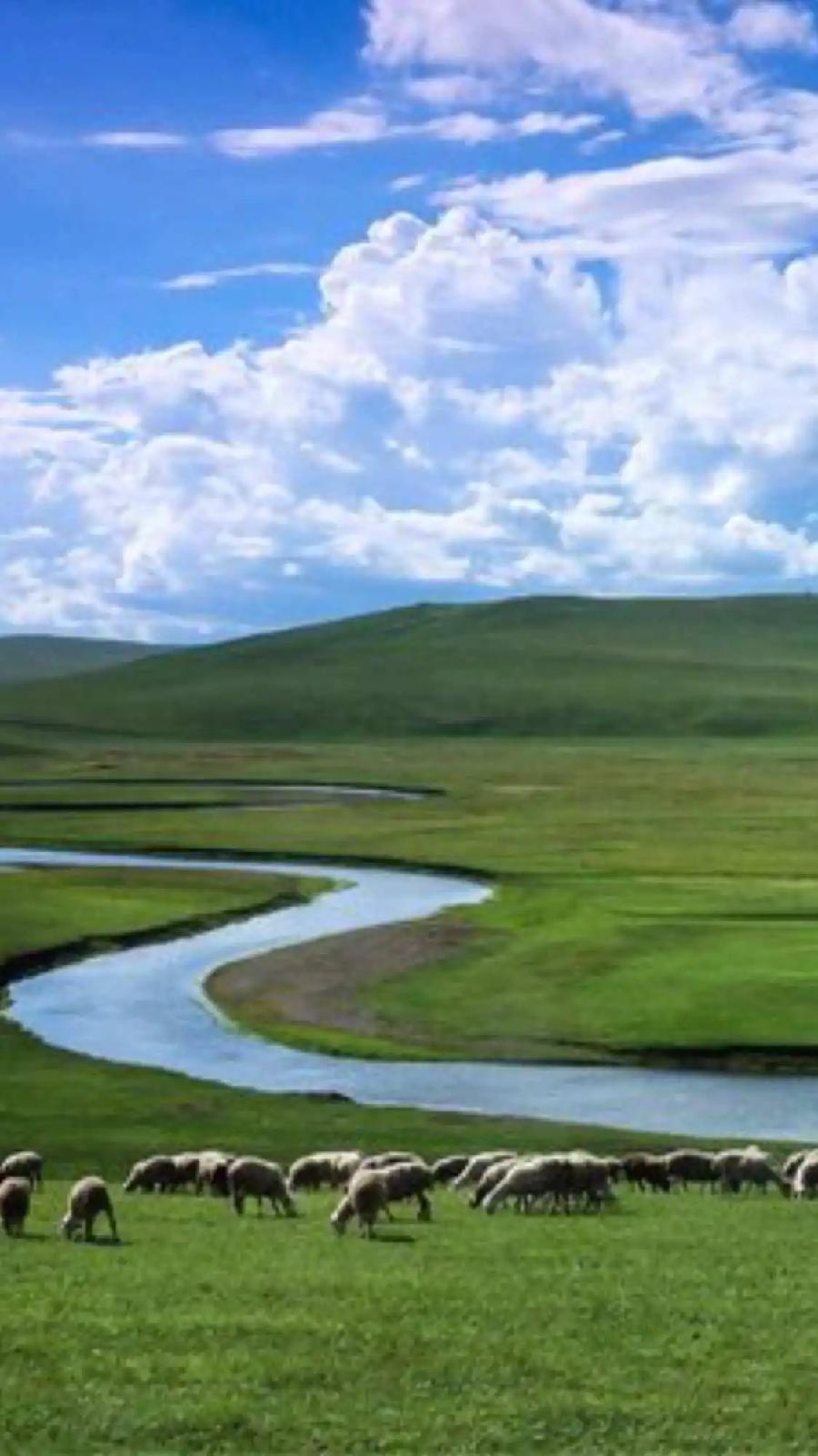 七律-夕阳放歌～诗||杨景儒（图13）