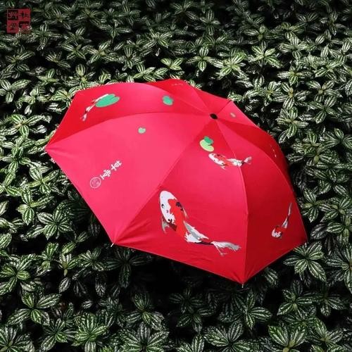 【经典推荐】昨夜天//我在秋雨中 念着你（图4）