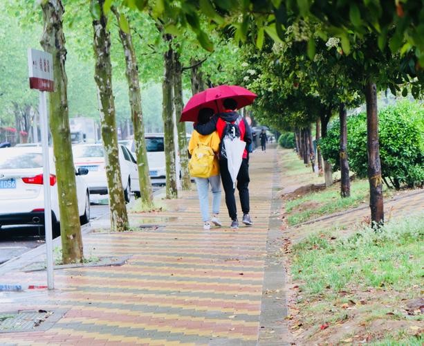 【经典推荐】昨夜天//我在秋雨中 念着你（图10）