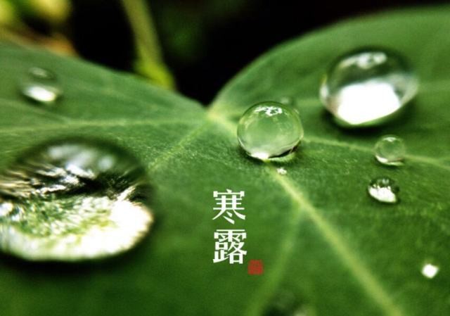 七律【中华通韵】《寒露流情》作者：连振华/广东乐昌（图8）