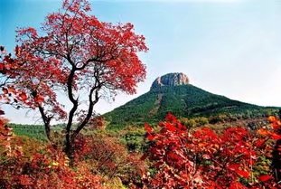 《枫叶红了》作者/郭曰方 配乐/独门太极 合诵/独门太极/紫金茉莉(图3)