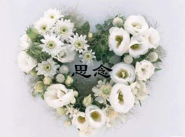 【新诗大观】一封信||文/花惜柔
