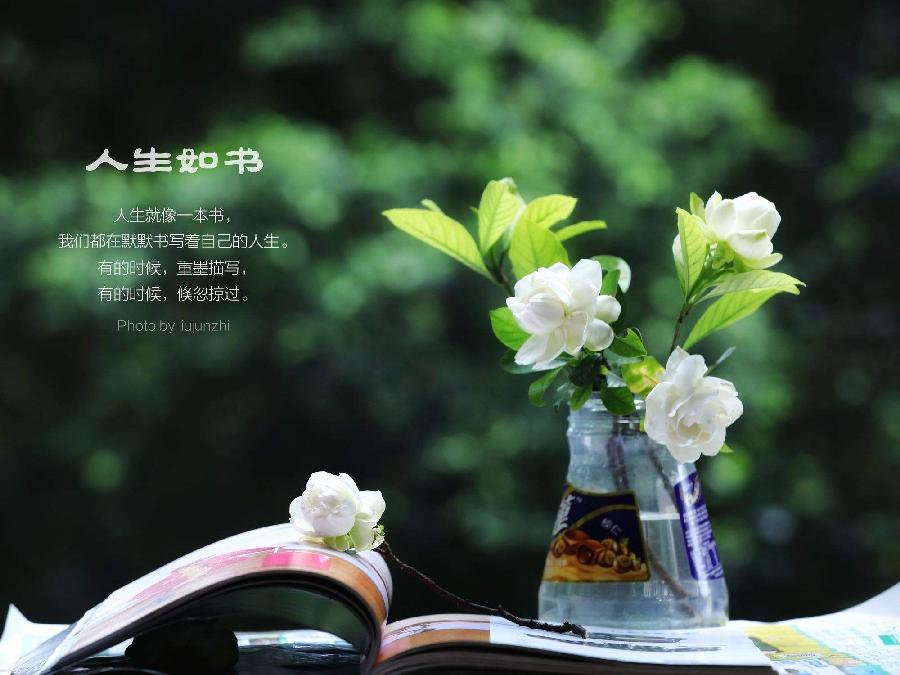 金子朗诵《金句》专集之四；收集：金华(李敬党)；编辑：开心快乐【运河之春】(第096期)（图4）