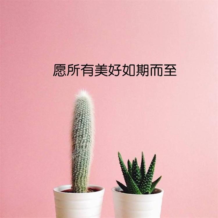 金子朗诵《金句》专集之四；收集：金华(李敬党)；编辑：开心快乐【运河之春】(第096期)（图6）