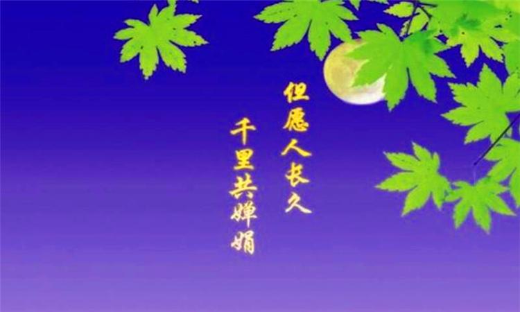 金子朗诵《金句》专集之四；收集：金华(李敬党)；编辑：开心快乐【运河之春】(第096期)（图8）
