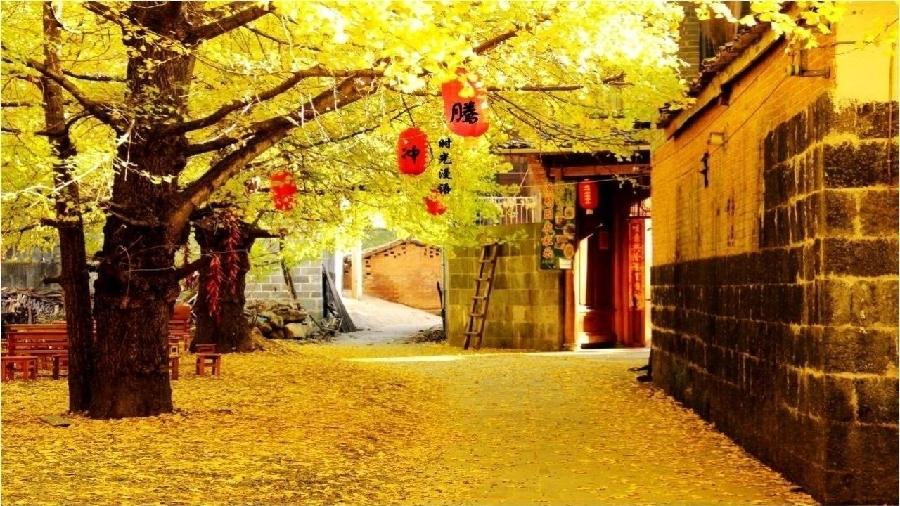 书乐老师诗歌《国庆三秋红》主播：月光如水 ；编辑：小鱼儿 【秦岛韵声】（第1101期）（图6）
