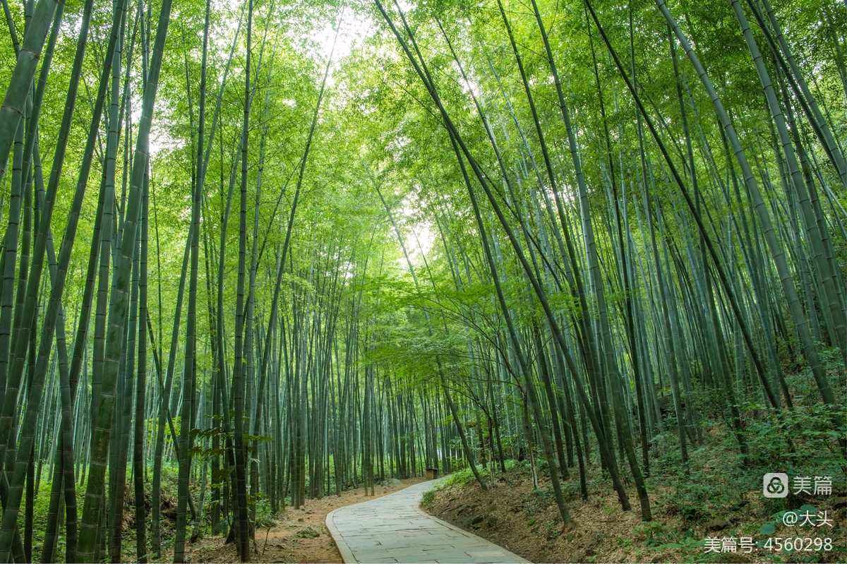 卓顺贵癸卯诗词集（图79）