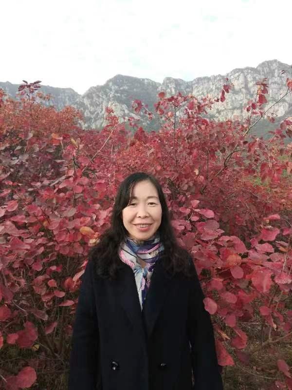 风儿吹诗画作品专辑（图6）
