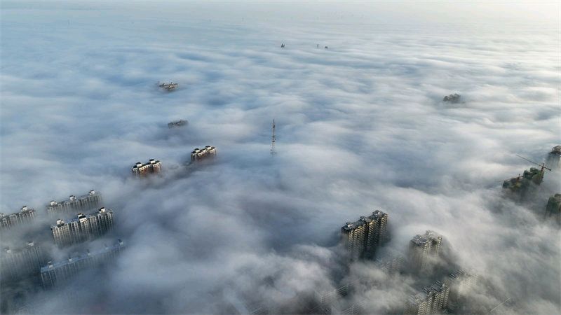 《琴台的雾》作者/范文波 主播/馨园小主 主编/胡琴（图4）