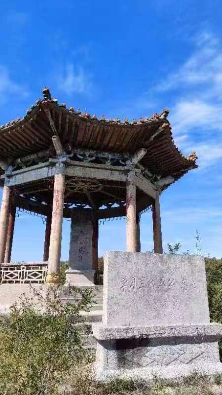 回乡偶感 文／张玉书 京津沪头条