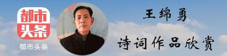 中华诗艺黑龙江分社微刊第227期(图43)