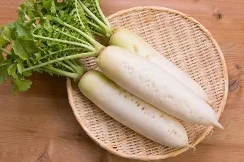 韩庚的《白萝卜》