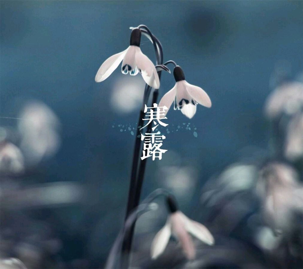 〔诗词专辑〕作者：王香谷（悉尼）【冰心文化传媒】主编冰心〔中国〕（图13）