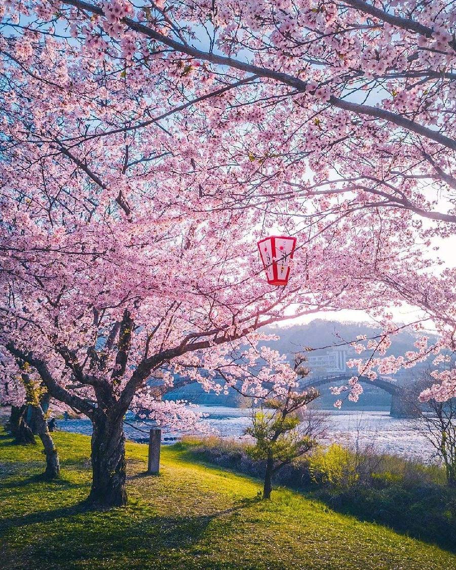 【短篇精品小说】华丽转身 文/莫柔(图5)