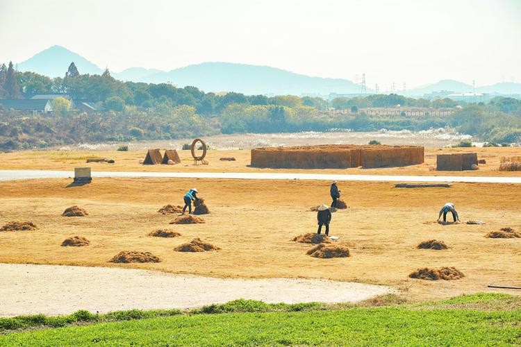 【经典推荐 美丽乡村】张建国//乡村秋景（图6）