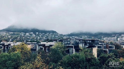 【经典推荐 美丽乡村】张建国//乡村秋景（图7）