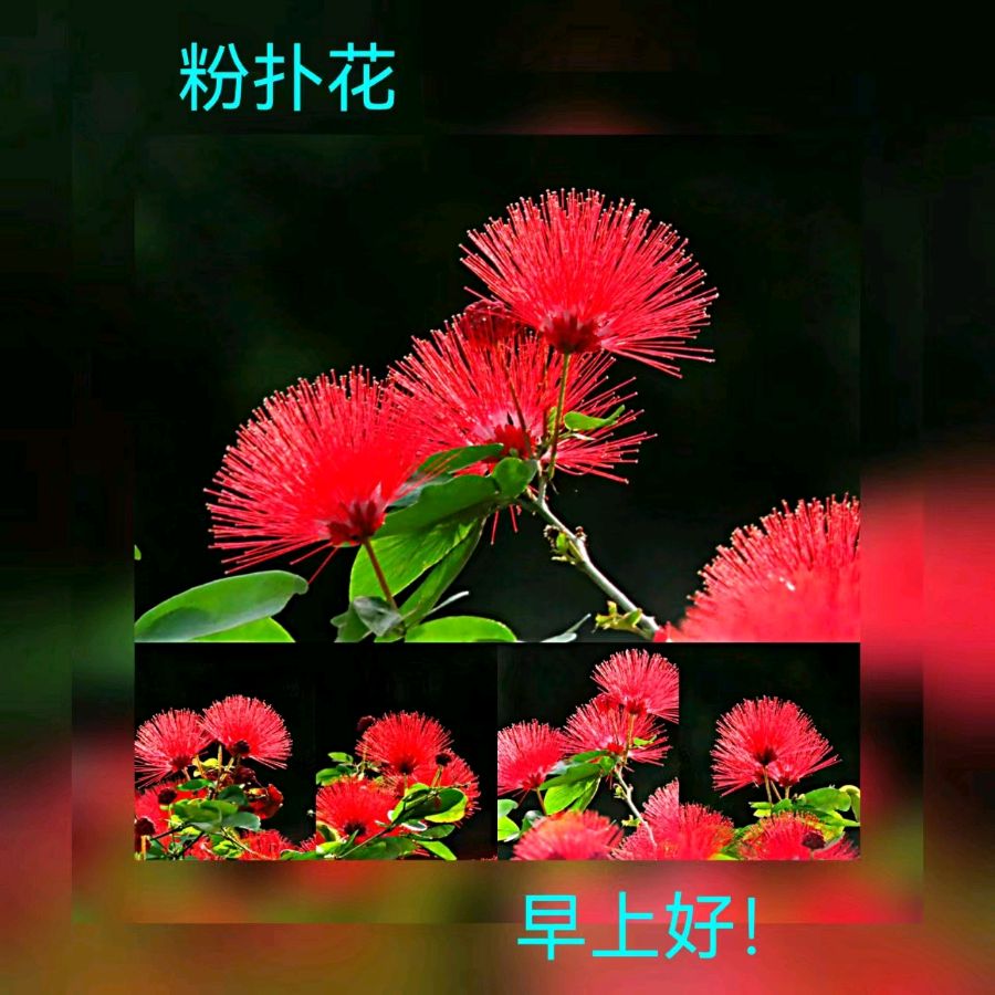 联机全球发布马洪武作品欣赏（图458）