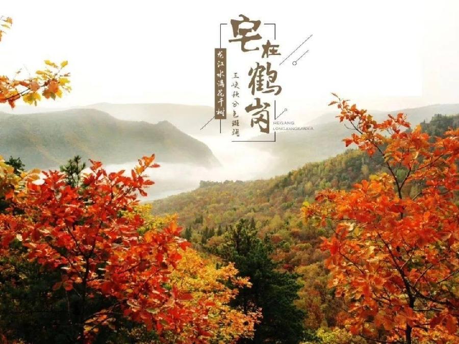 祥云诗歌《大地之眼》主播：八位金牌主播；编辑：小鱼儿 【秦岛韵声】（第1104期）（图16）