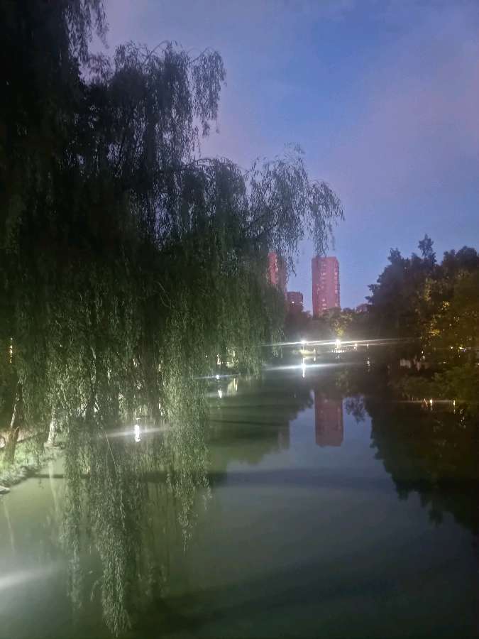 《满庭芳》作者/高敬求（安庆）（图2）