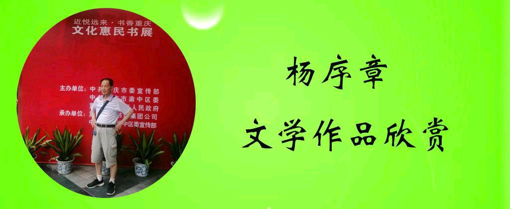 中华诗艺黑龙江分社微刊第228期(图27)