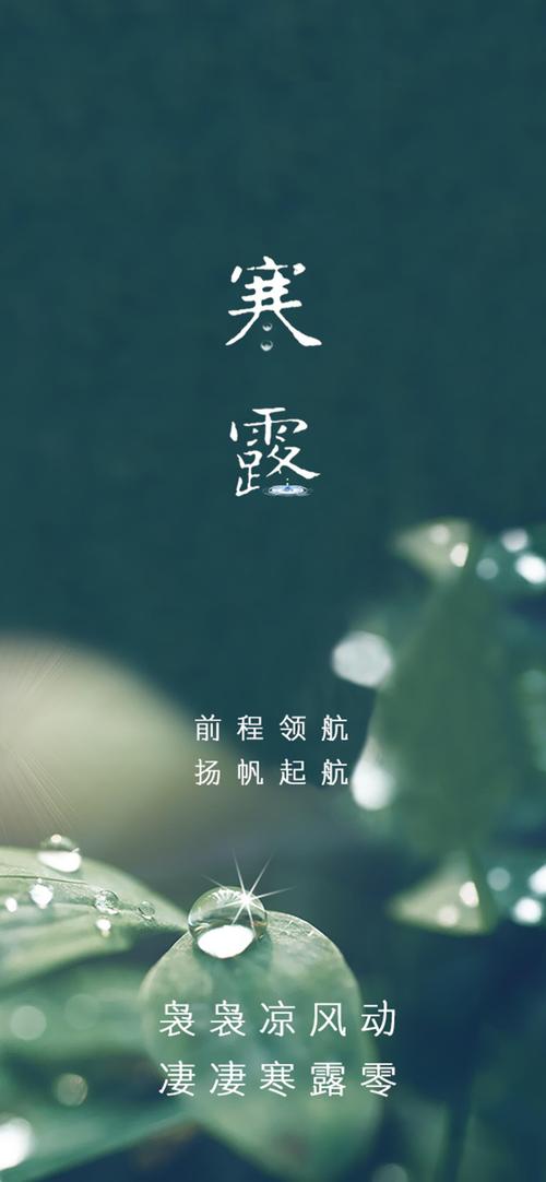 联机全球发布万年青作品欣赏（图81）