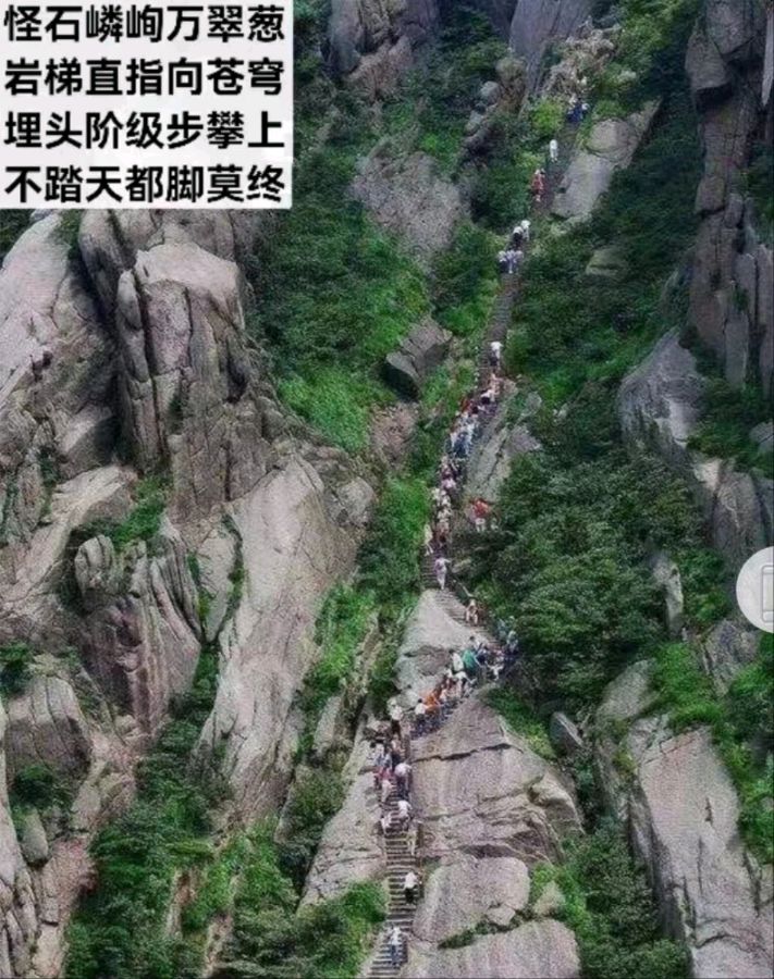 【荣耀中国】小茶一丛题图诗第22期（图10）
