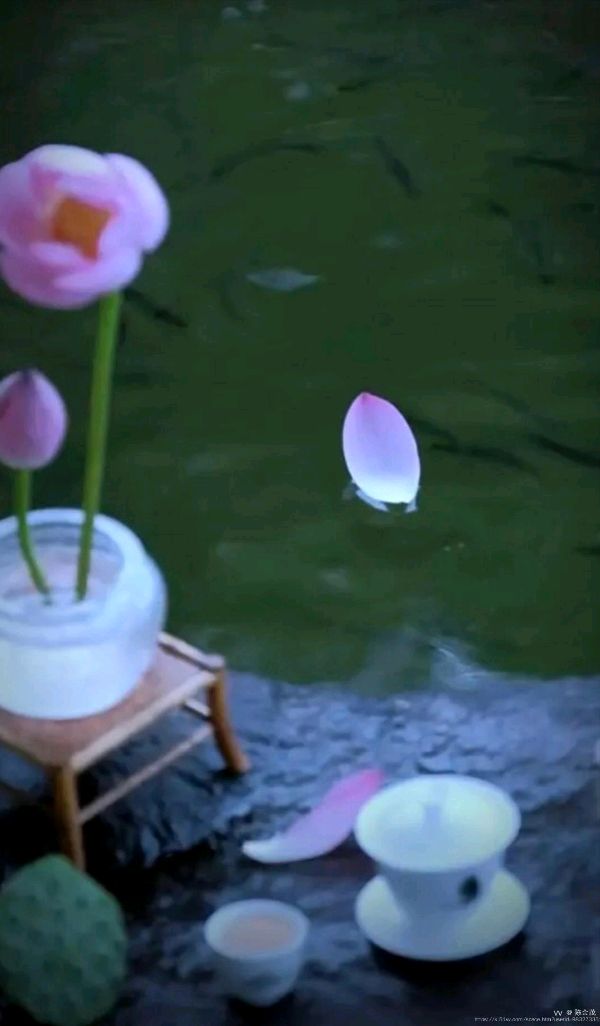 陈金茂（纽约）看图写诗（145）对女说（三首）【冰心文化传媒】主编冰心【中国】（图5）