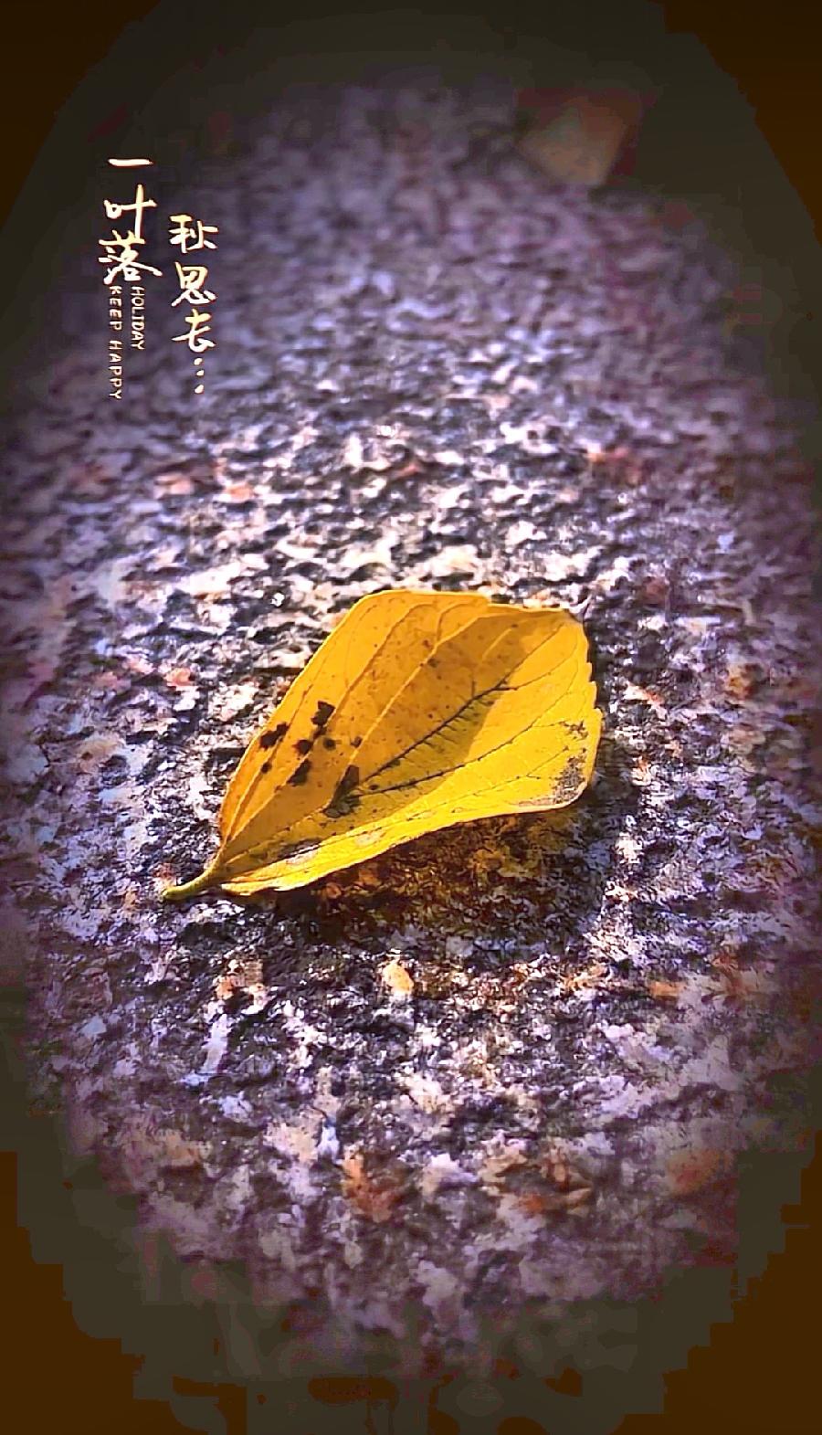 七绝-暮秋（外一首）诗||邹少林（图14）