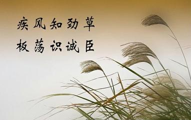 妙琪深情诵读/论德说才话做人（图4）