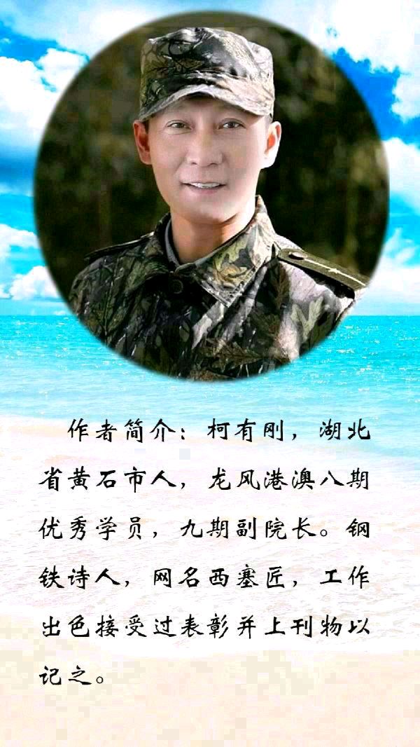 中华诗艺黑龙江分社微刊第229期(图32)