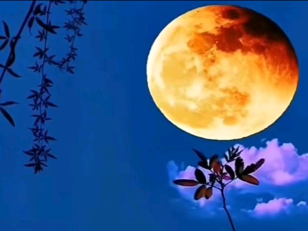 联机全球发布刘志新作品欣赏（图5）