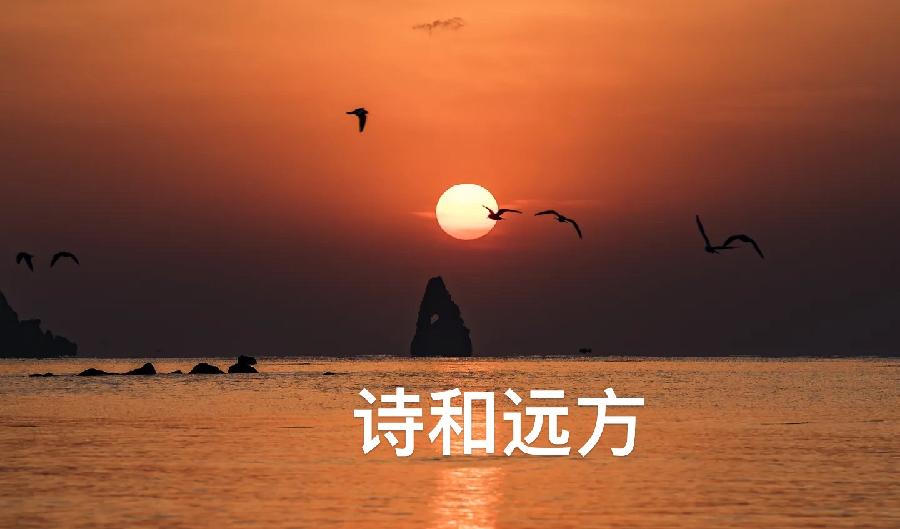 【海外诗译】精品双语朗诵《诗和远方》作者|婉晴、英译|Gerry、审译|任诚刚、朗诵|薇薇(图3)